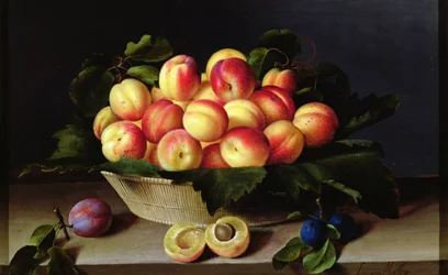 Basket of Apricots